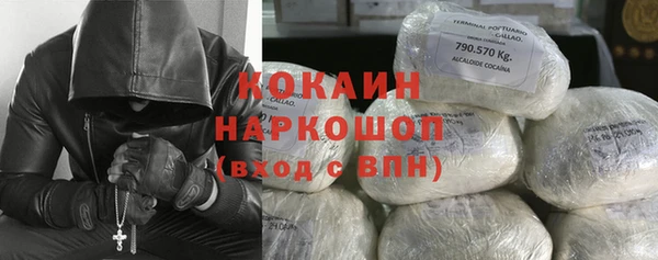 дмт Дмитровск