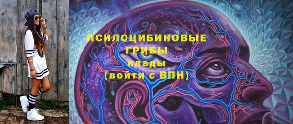 спайс Дмитриев