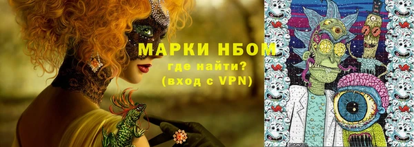 дмт Дмитровск