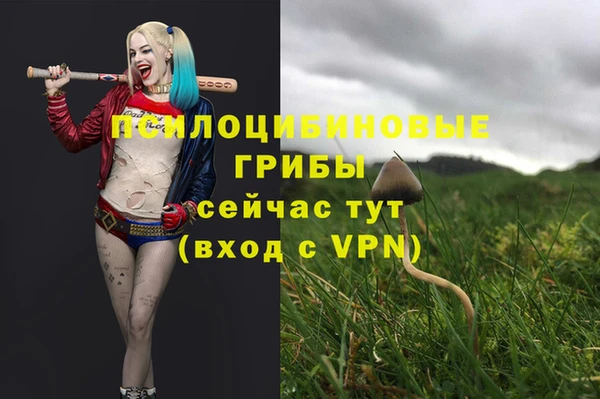 спайс Дмитриев