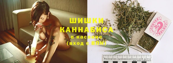 спайс Дмитриев