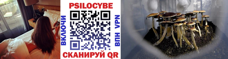 Псилоцибиновые грибы мухоморы  дарнет шоп  Салехард 
